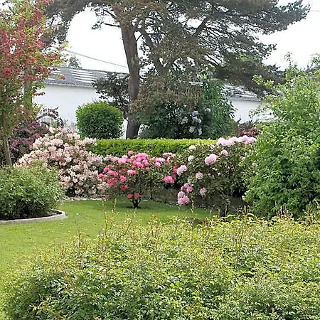 D'hote Bed & Breakfast